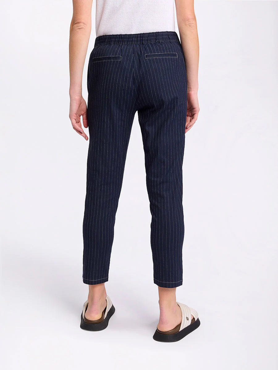 Marco Polo Pinstripe Pant - Navy